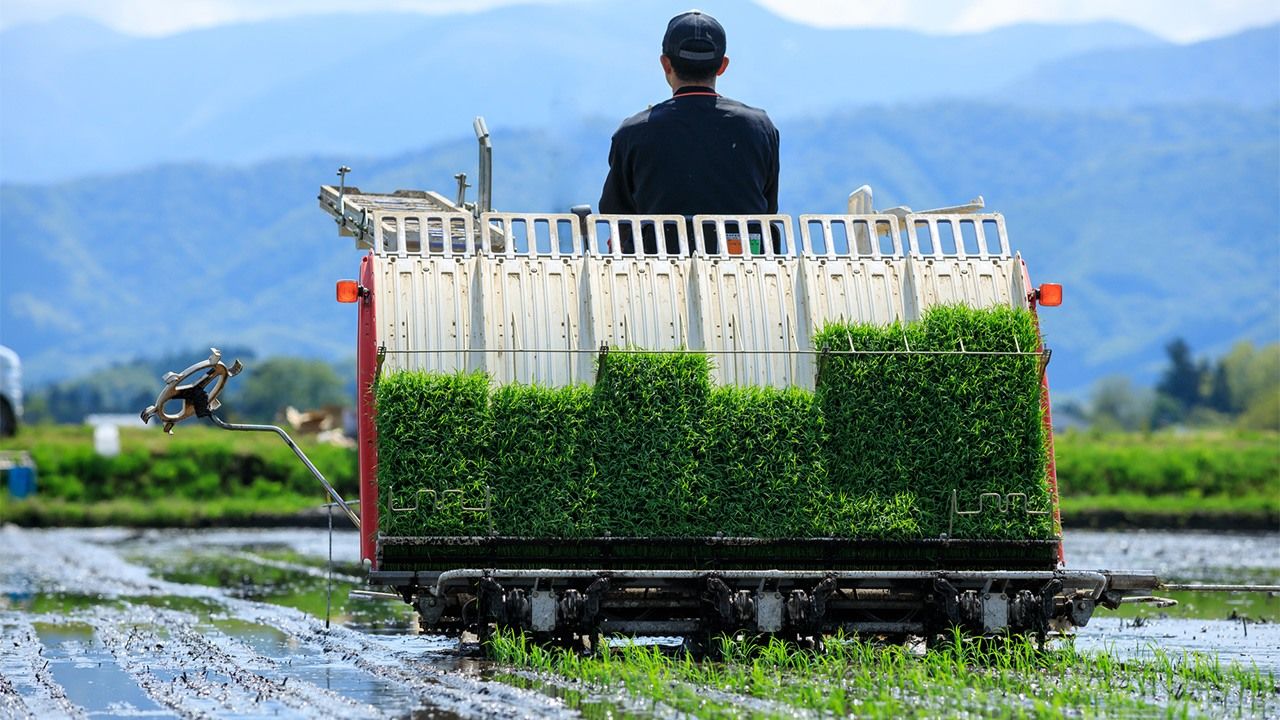 Agriculture